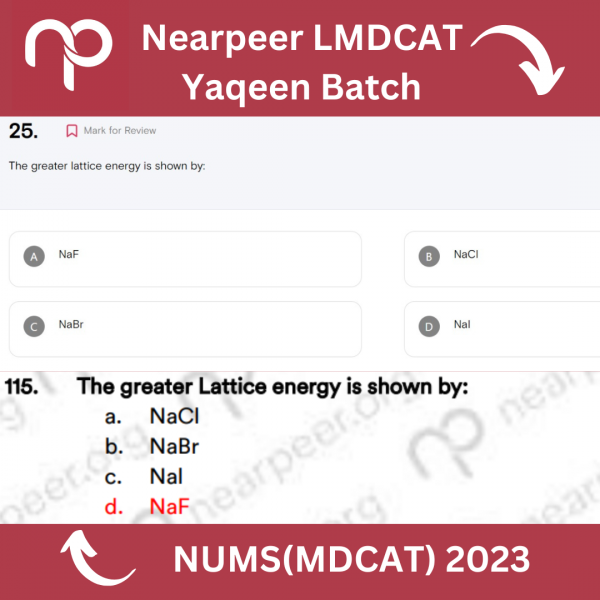 Nearpeer LMDCAT Yaqeen Batch (2)